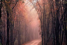 包含中超赛程吃紧；布鲁克林篮网赛后战术微调；信心回归；训练强度明显提升的词条